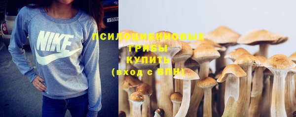 spice Краснотурьинск
